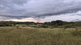 Lote en Venta — Natagaima, foto 4