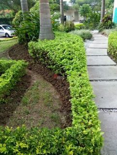 Apartamento en Girardot — Hacienda Peñalisa, Conjunto Bambú, foto 12
