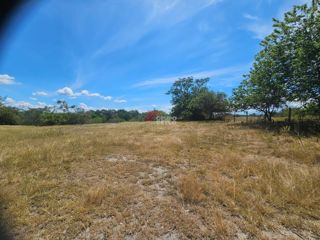 Finca Los Arrayanes, foto 12