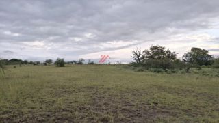 Lote en Venta — Natagaima, foto 7