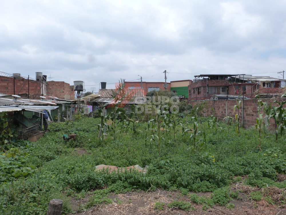 Lote en venta - Chia, Cundinamarca, foto 1
