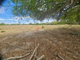 Finca Los Arrayanes, foto 10