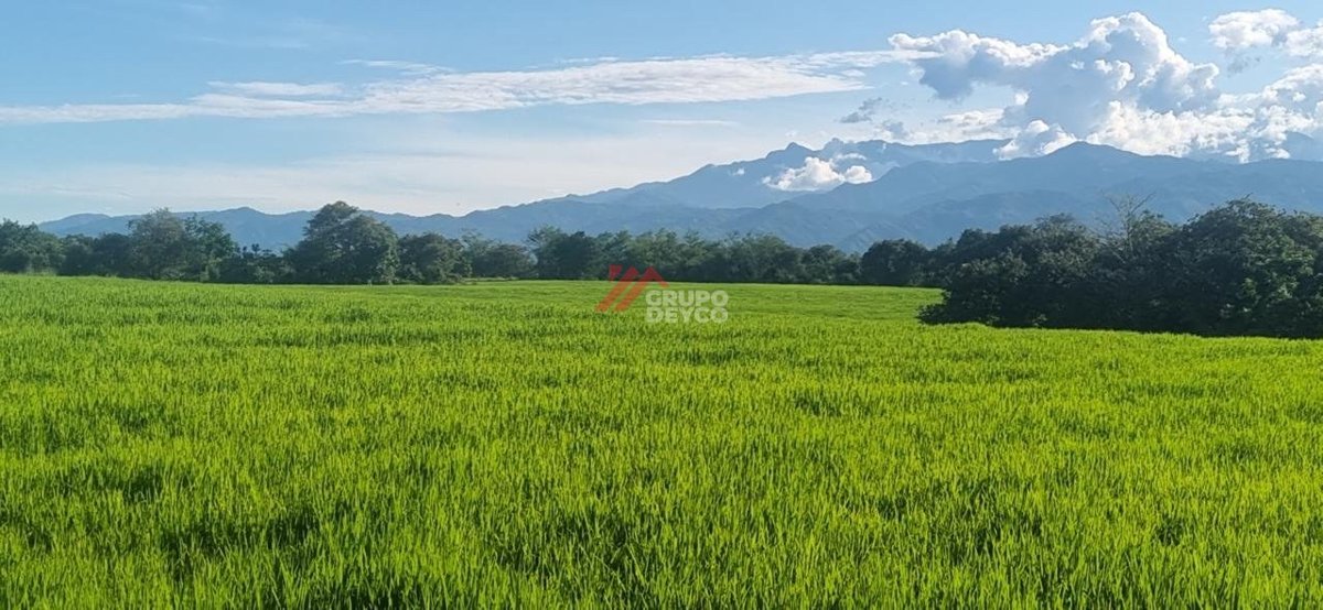 Lote de 24 hectáreas en Lérida, Tolima, foto 1