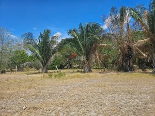 Finca Los Arrayanes, foto 7