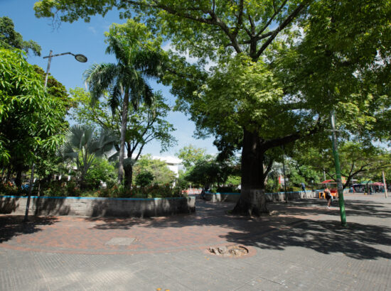 PARQUE PRINCIPAL SIMON BOLIVAR GIRARDOT 